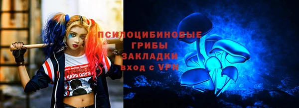 стафф Горно-Алтайск