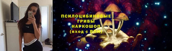 ALPHA-PVP Горняк