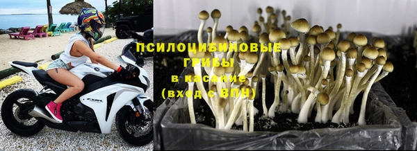 кокаин Горнозаводск