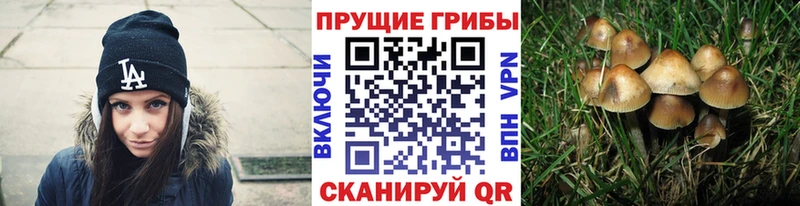 Псилоцибиновые грибы Magic Shrooms  Окуловка 